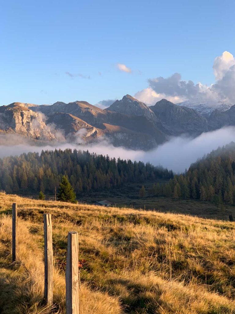 Aussicht-Gotzenalm-2